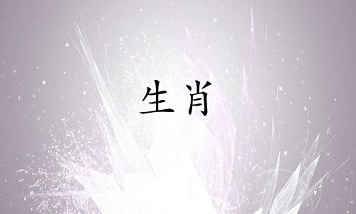 马和兔子是一对好搭档吗?