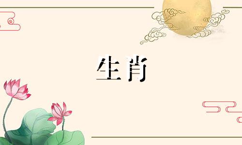 动物属猴和兔子是相容的吗?