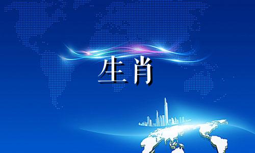 动物蛇和动物蛇兼容吗?