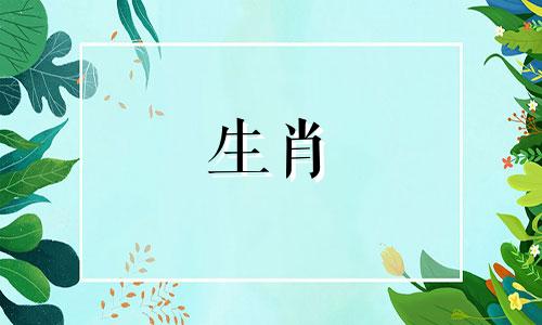 蛇女遇到情感危机该怎么办