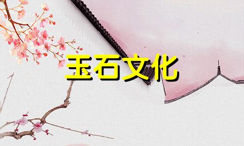 十大最值得一弹的弦乐