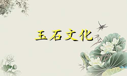 沉香和沉香有什么区别?哪个更贵?