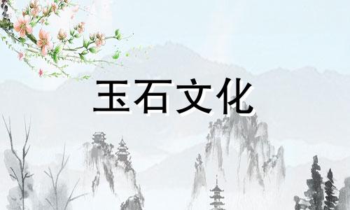 如何购买紫色鼠标椴树