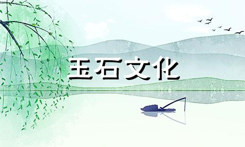 紫鼠菩提树和金钢菩提树哪个更好? 