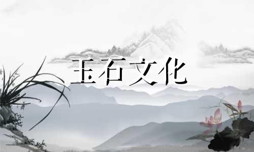 耀王石与她太翠哪条好戴她太翠手镯价值