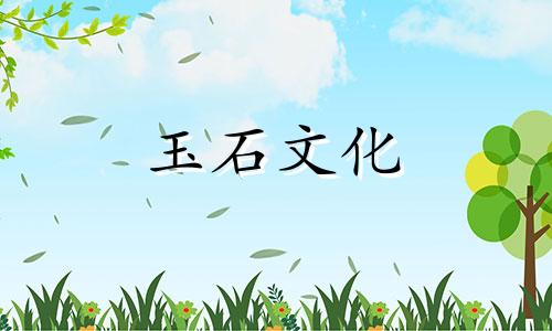 云南宝山南红主要矿区及特征