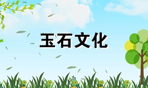 南宏真空注射鉴定方法