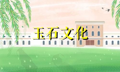 南方红玛瑙红白材料雕刻鉴赏