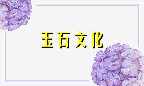 南方红荔枝果冻鉴定要点