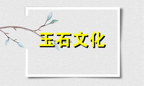 蜂蜡和琥珀的区别,琥珀蜂蜡多少钱一克