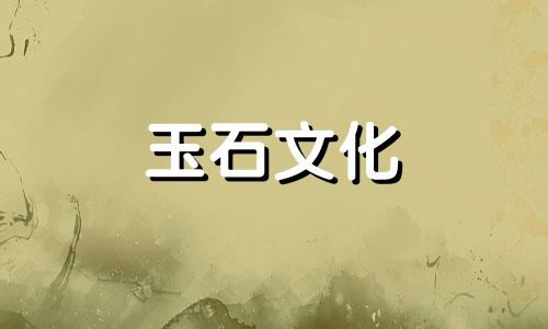 天然琥珀是如何形成的?琥珀的形成过程