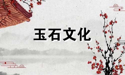 什么是印度?Pannus值多少钱?