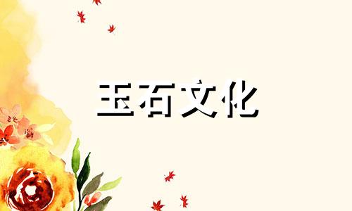 Kimper的功能和作用，如何维护Kimper 