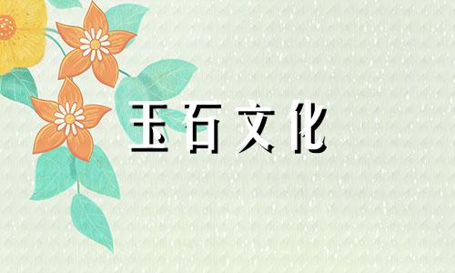 琥珀的市场价格是多少?琥珀市场价格分析