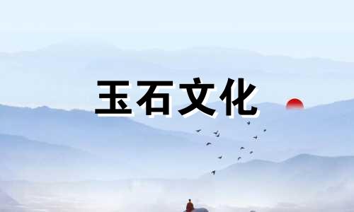 如何选购高质量的南方红环