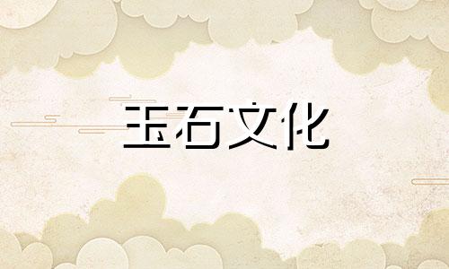 哪个更贵,维西还是九个?