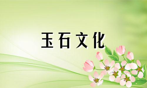 什么是茶晶?茶晶有哪些特点