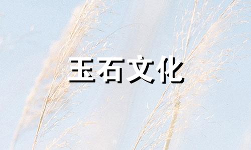紫象牙和石榴石的区别是什么?为什么两者的价格相差如此之大