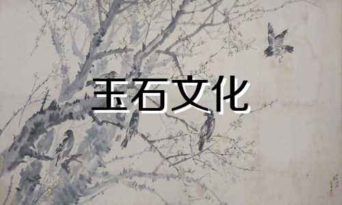 和田玉硬棉是什么?和田玉和棉盘的僵硬能降下来吗?