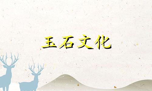 何谓和田御木皮?烧籽有什么特点?