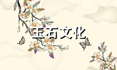 哪个更贵,翡翠油绿还是糯米籽?