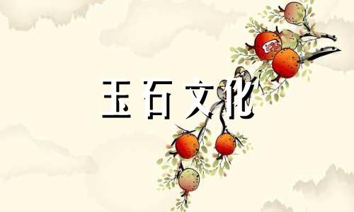 这条玉项链是什么意思