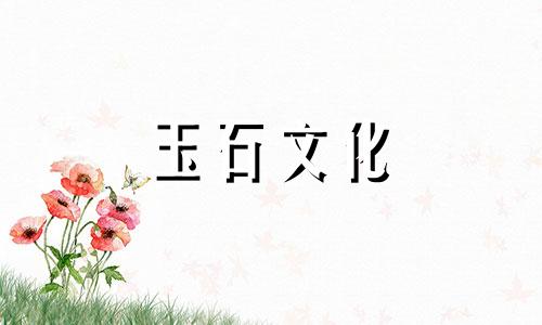 阳光绿和帝王绿有什么区别,哪个更好?