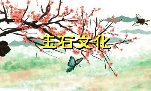 约5000块玉镯图片三五千块真手镯如何选择