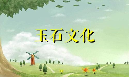 和田玉和玉石哪个采用者买和田玉还是玉石好