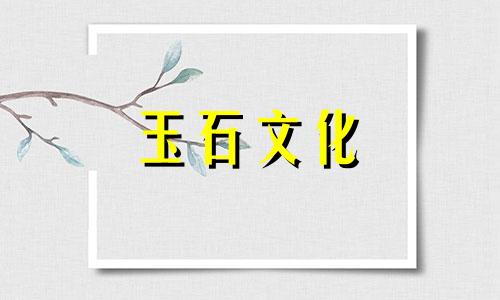 玉镯在哪里买真的是玉镯在哪里买放心