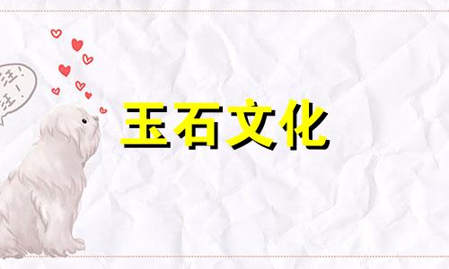 琥珀如何辨别真假，快速辨别真假琥珀的方法