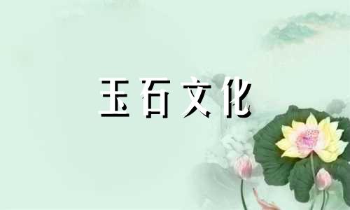 蜡玉你能看见苍蝇的翅膀吗