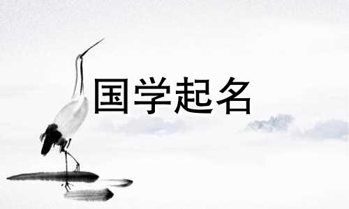 "2024年宝宝取名：为龙宝宝挑选一个好名字"