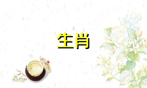 "支付宝生肖卡的属相是否需要相同?(如何选择支付宝生肖卡)"