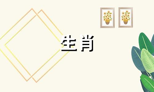 2024年属牛人的全年运势详解 2024年属牛人的全年运