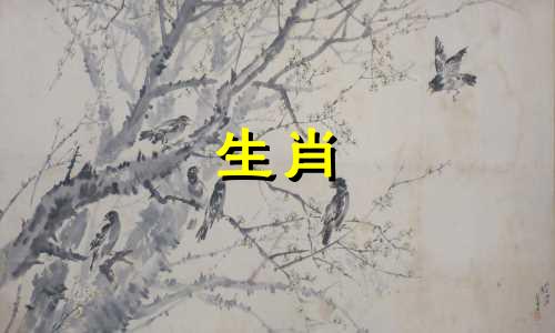 如何下载十二生肖属相对比软件(哪些软件可以查询生肖属相,哪些软件可以查看新十二生肖)