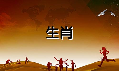 白山黑水代表的生肖是什么？(提示：白山黑水是一个动物)