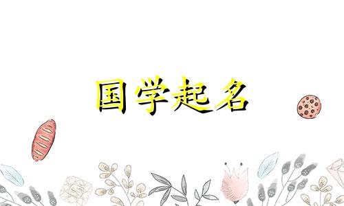 "免费查询生辰八字五行取名大全，点击[这里](https://www.cnbu.cn/202748.