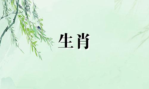 生肖龙与哪些属相最相配 属龙的最佳配偶生肖是哪个