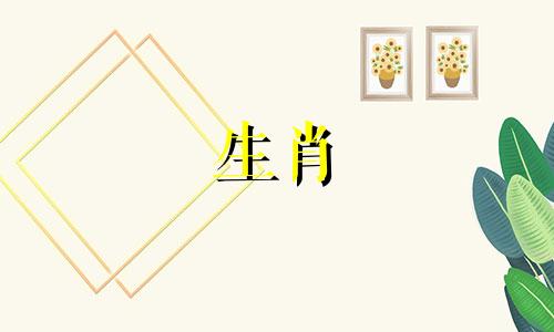 属蛇的男性最适合与哪个生肖的女性相配？