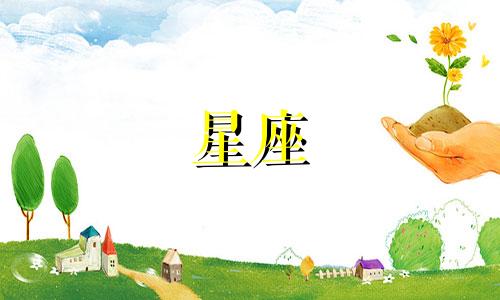 2003年出生的处女座女生的性格特点