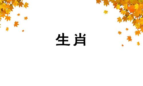 每个人都拥有自己的生肖属相，对吧？