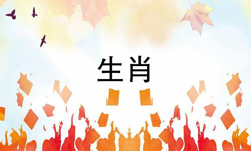 属马的人应该佩戴什么饰品？