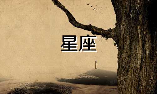 深度解读12星座的性格与情缘:射手座星座性格分析图