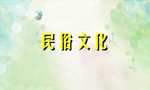 图解陆龟风水禁忌：家里养龟的十大注意事项