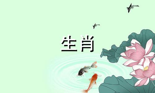 生肖兔的贵人属相是什么意思 属兔的贵人是哪个属相