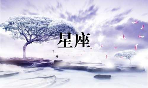 水瓶座男女的恋爱需求分析:星座项目需求分析