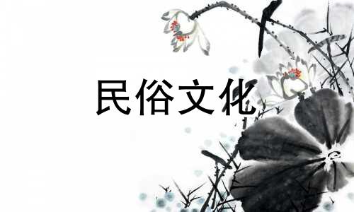 了解风水禁忌：石头摆放家里的八大禁忌图解视频