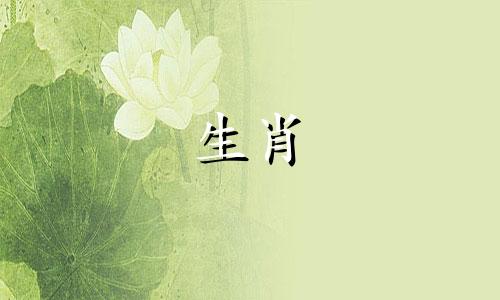 十二生肖属相婚配表：羊与狗 属狗和属羊的相配