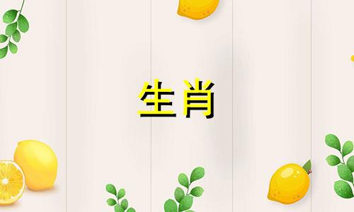 2024年12月份，属鼠人的财运相对稳定，他们的努力工作将得到回报。